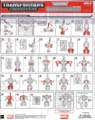 Wolverine (X-Force costume) hires scan of Instructions